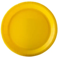 10 Assiettes en Carton Recyclable - 18 cm - Couleur au Choix