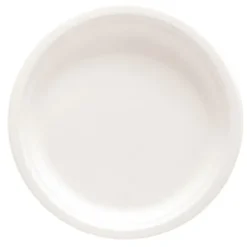 50 assiettes en fibre de canne - 26 cm