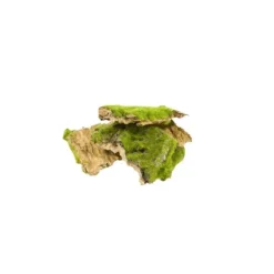 Assortiment d'écorces avec mousse synthétique - 50 g