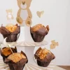 Assortiment de 12 Pics - Collection Baby Nude