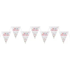 Banderole de 7 fanions "Joyeux Anniversaire" - 3 m - Collection Anni' Festy