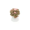 Bouquet Apolline - Fleurs séchées et rose