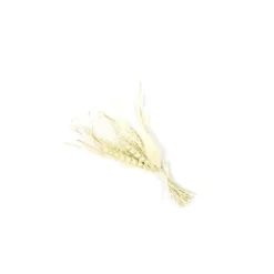 Bouquet de Blé et Herbes séchées