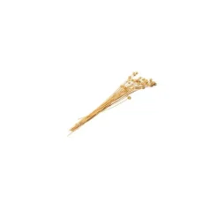 Bouquet de Chardons Séchés - Naturel - 50g
