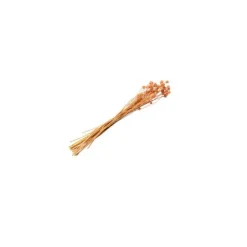 Bouquet de Chardons Séchés - Rose - 50g