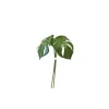 Bouquet de 3 feuilles de Monstera
