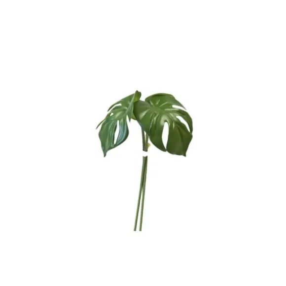 Bouquet de 3 feuilles de Monstera