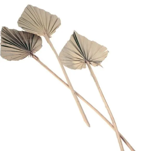 Bouquet de 10 Feuilles de Palmier Séchées Découpées