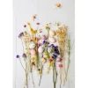 Bouquet de Fleurs Séchées avec tiges