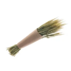 Bouquet de Gerst Naturel Vert