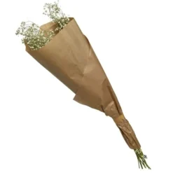 Bouquet de gypsophile séché blanc
