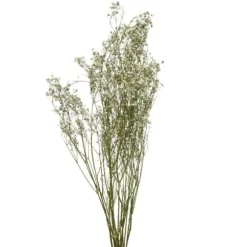 Bouquet de gypsophile séché blanc