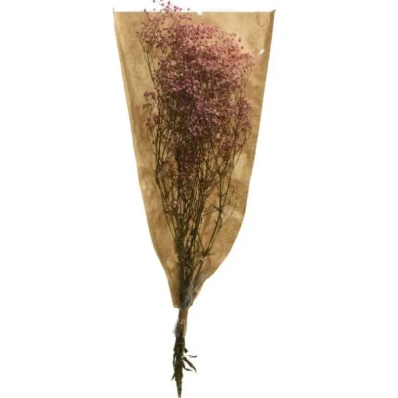 Bouquet de gypsophile séché rose doux
