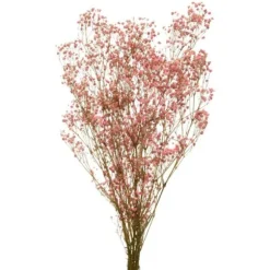 Bouquet de gypsophile séché rose doux