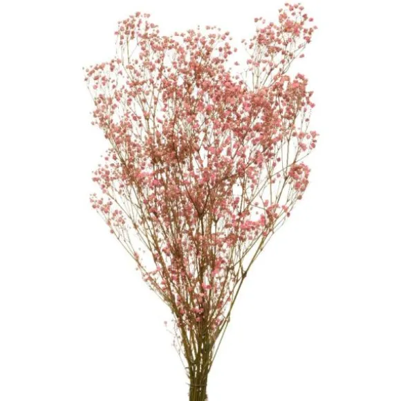 Bouquet de gypsophile séché rose doux