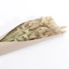 Bouquet de Lagurus Séchés - 60 cm
