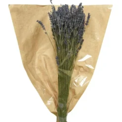 Bouquet de lavande sur tige - 50 cm
