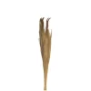 Bouquet de Pampa Naturel - 250 g - 110 cm environ