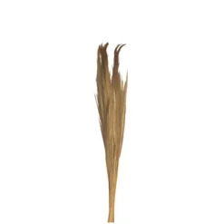 Bouquet de Pampa Naturel - 250 g - 110 cm environ