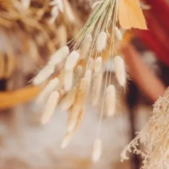 Bouquet de Plumeaux Lagurus Naturels