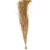 Bouquet de raphia de bambou - 110 cm