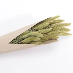 Bouquet de Sétaria Vert - 74 cm
