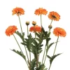 Bouquet de 3 tiges de tagètes - 12 x 8 x 59 cm - Couleur au choix