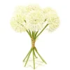 Bouquet de 7 têtes d'Ail avec Raphia - Blanc