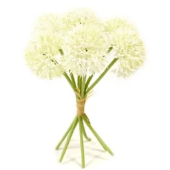 Bouquet de 7 têtes d'Ail avec Raphia - Blanc