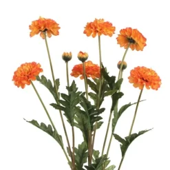 Bouquet de zinnias - 9,5 x 5,5 x 12,5 cm - Couleur au choix