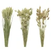 Bouquet d'Herbes Séchées - 60 cm - Modèle aléatoire