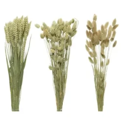 Bouquet d'Herbes Séchées - 60 cm - Modèle aléatoire
