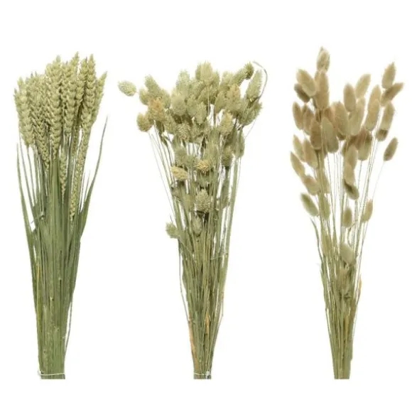 Bouquet d'Herbes Séchées - 60 cm - Modèle aléatoire
