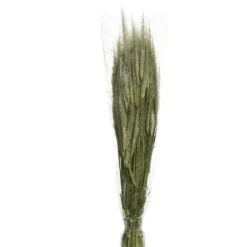 Bouquet d'herbes séchées - Modèle Aléatoire