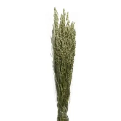Bouquet d'herbes séchées - Modèle Aléatoire