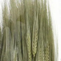 Bouquet d'herbes séchées - Modèle Aléatoire