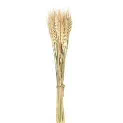 Bouquet d'épis de blé naturel 35 cm