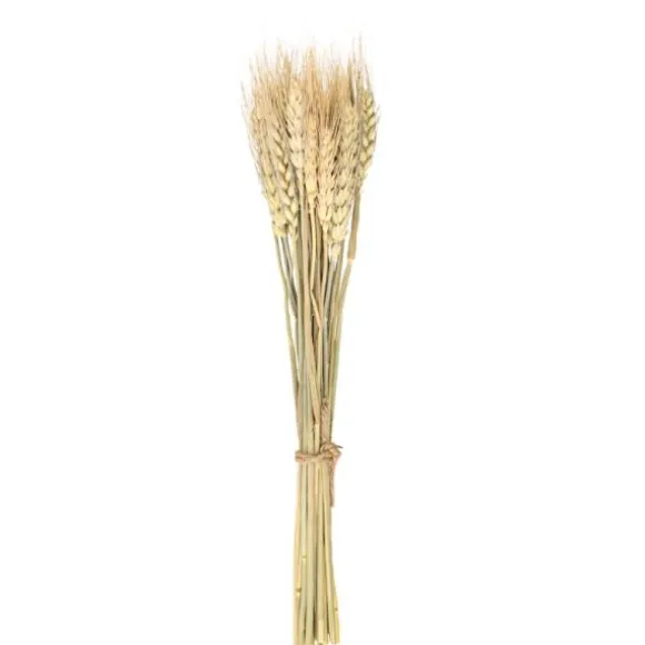 Bouquet d'épis de blé naturel 35 cm