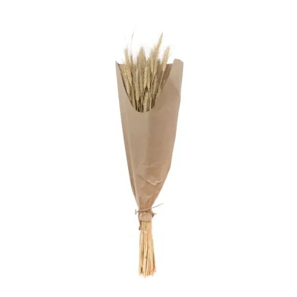Bouquet Epis de Blé - 40 Tiges - 70 cm