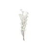 Branche de cerisier - Fleur Ivoire