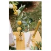 Branche de citron, mimosa et feuillage - 40 cm
