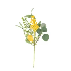 Branche de citron, mimosa et feuillage - 40 cm