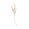 Branche de fleurs de magnolia - Blush