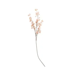 Branche de fleurs de magnolia - Blush