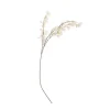 Branche de fleurs de magnolia - Blanc