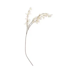 Branche de fleurs de magnolia - Blanc