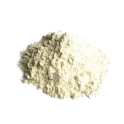 Canon à Poudre Holi - Blanc