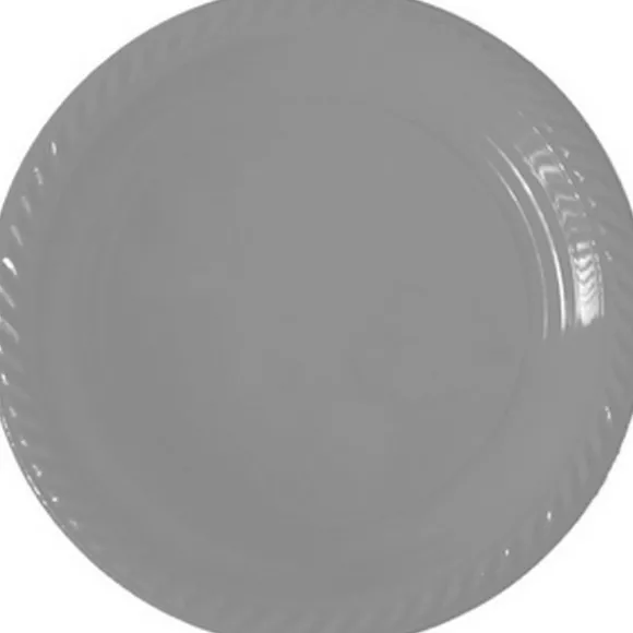 20 cuillères à café blanches en plastique réutilisable