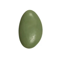 Dragées au chocolat 500 g - Couleur au choix