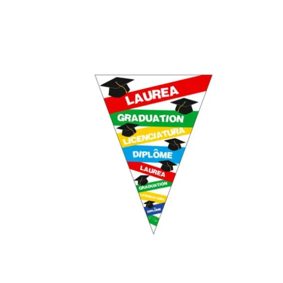 Guirlande de Fanions - Etudiant diplômé - 3,6 m